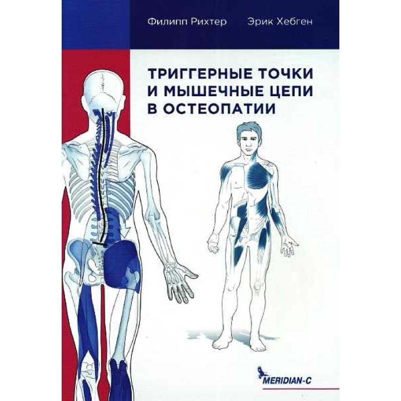 Trigger points and muscle...