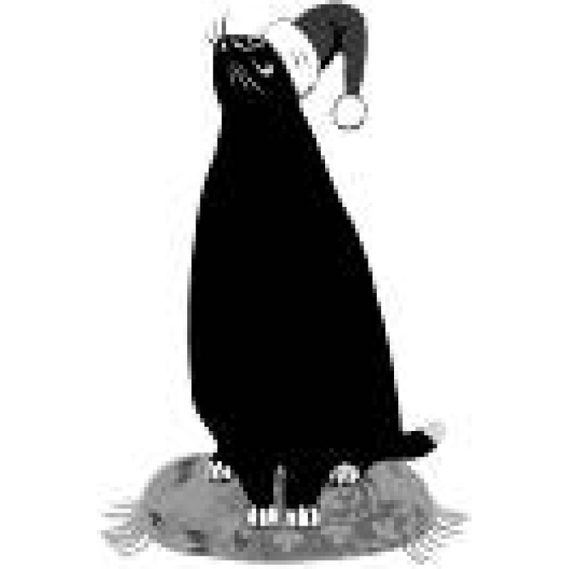 Cat Coming Home