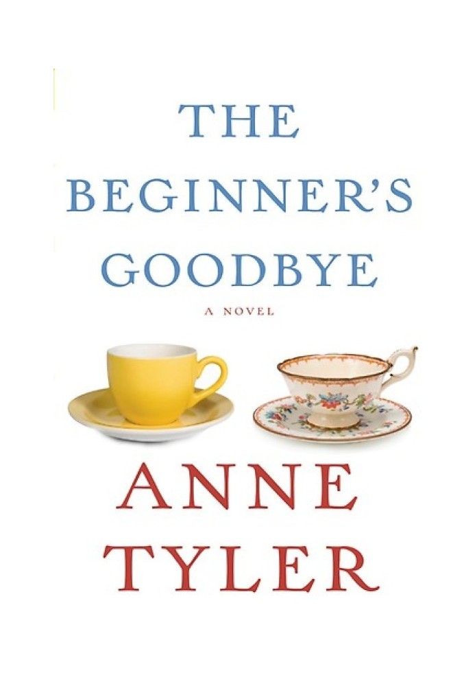 Beginner's Goodbye