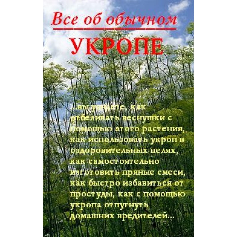 All about ordinary dill