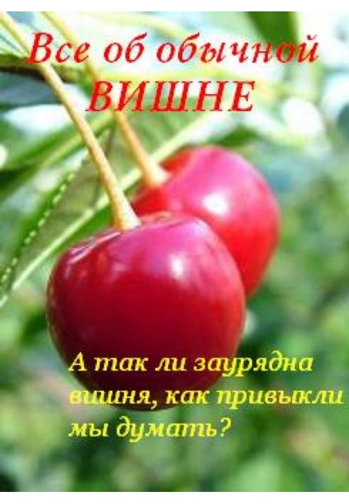 All about ordinary cherries