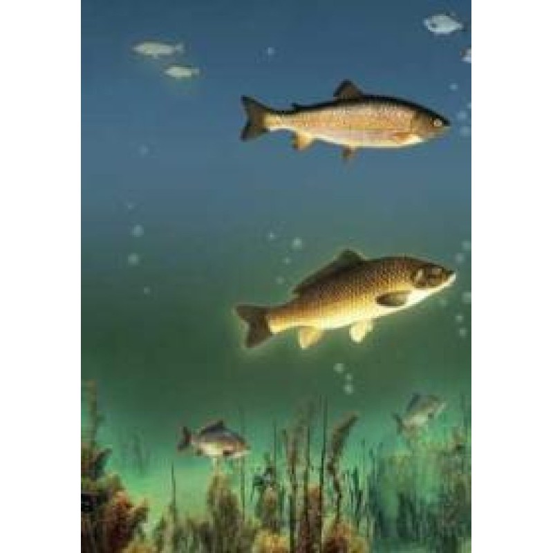 The reservoir is the...