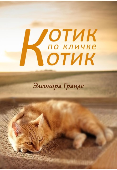 Котик по кличке Котик