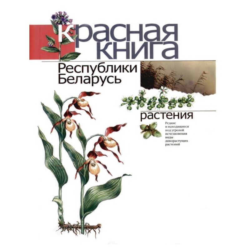 Красная книга Республики...