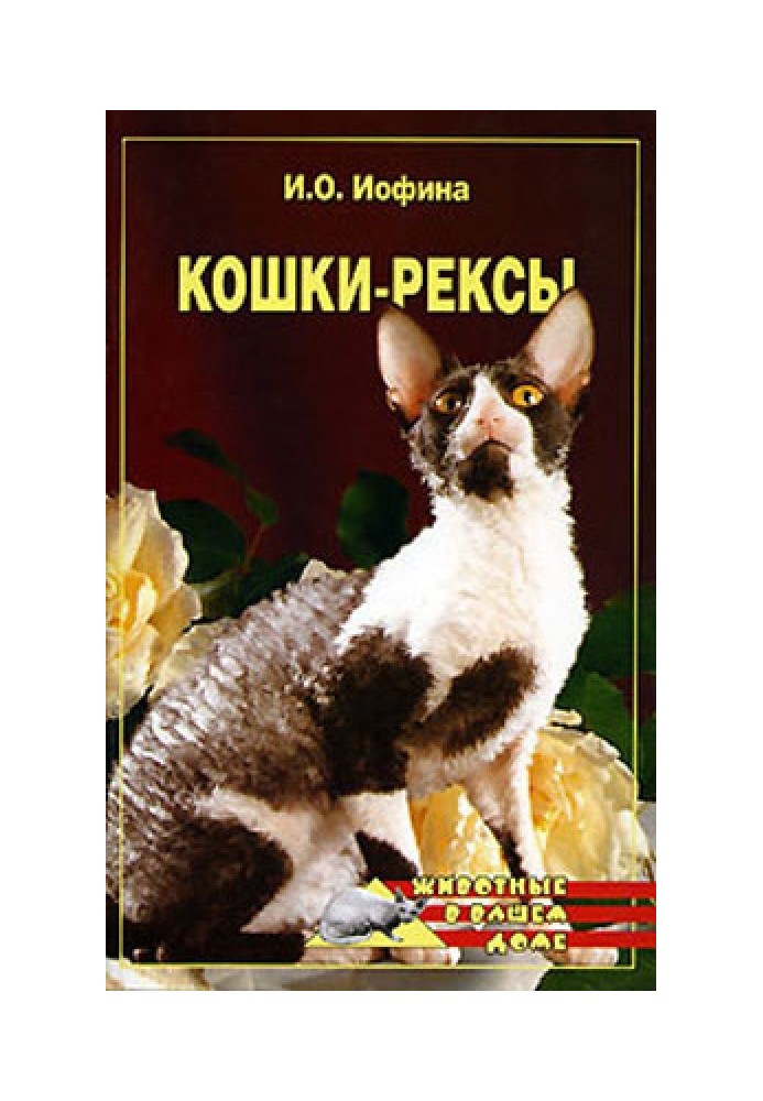 Кошки - рексы