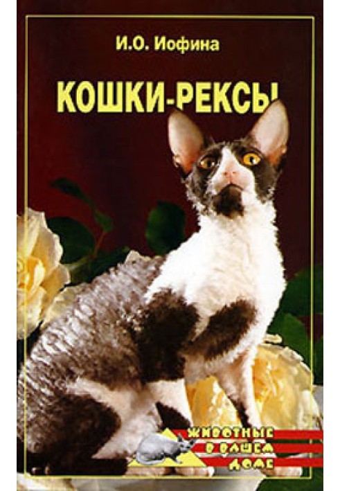 Кошки - рексы