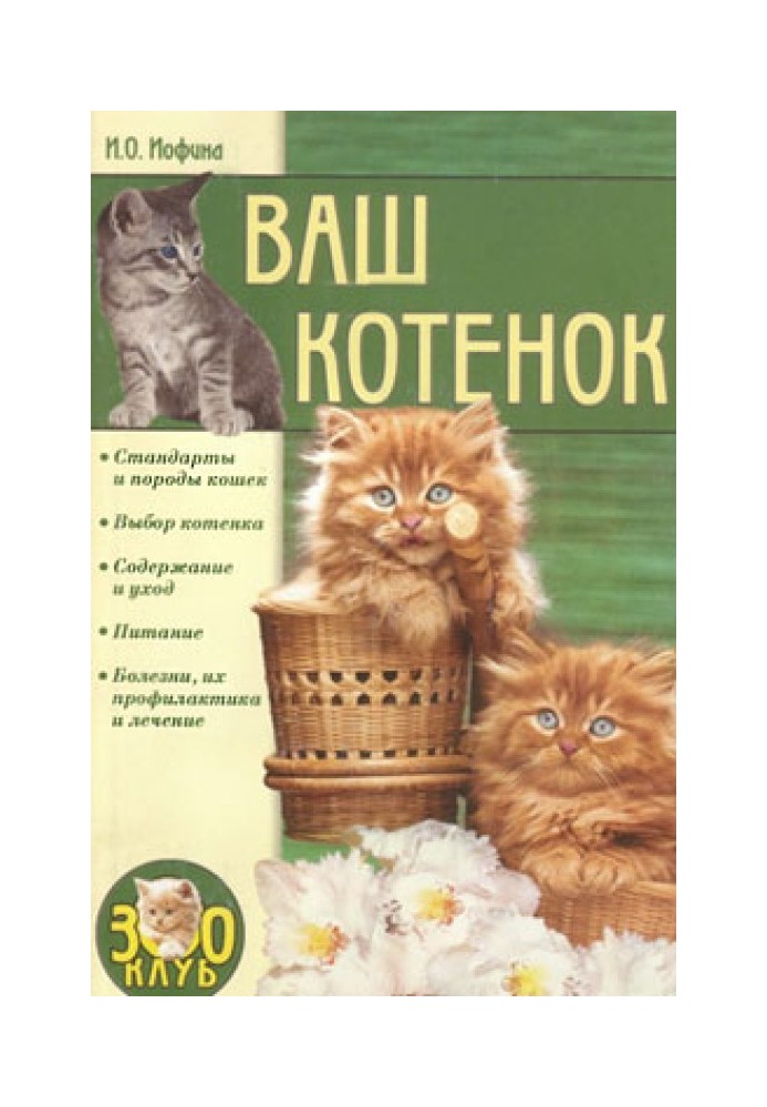 Ваше кошеня