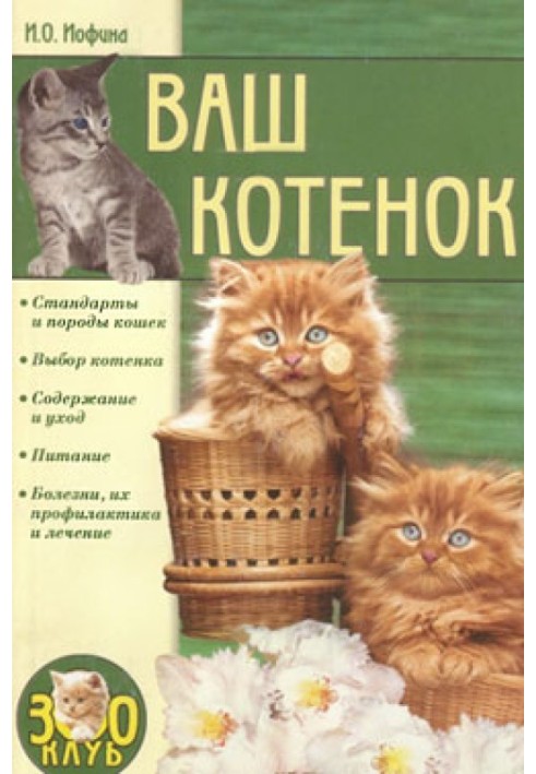 Ваш котенок