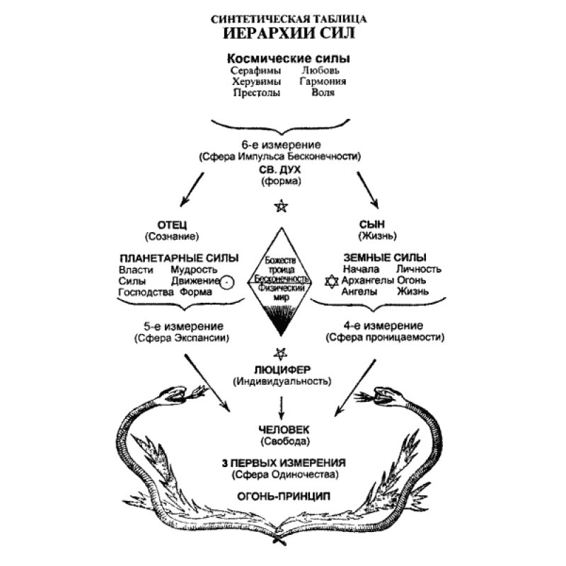 Divine evolution. From the...