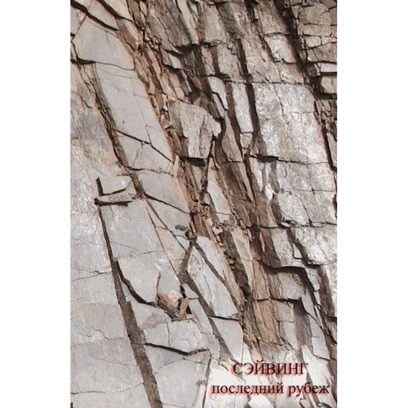 Saving. The Last Frontier