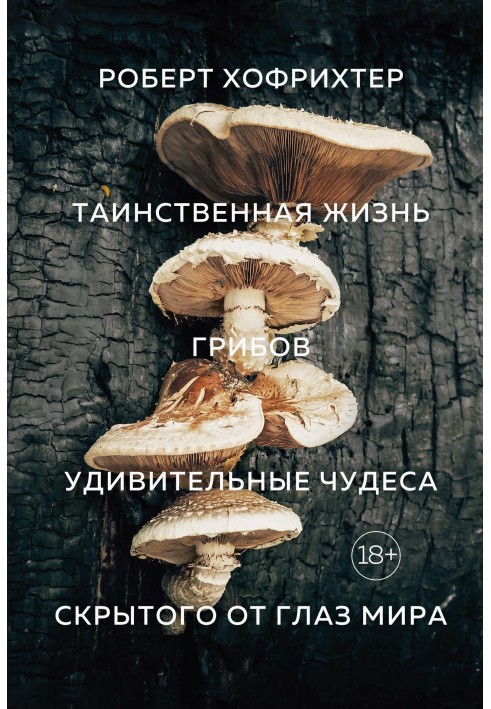 The mysterious life of mushrooms. Amazing wonders of the hidden world