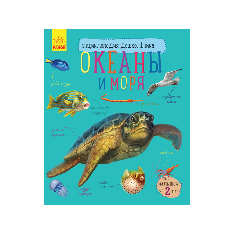 Океаны и моря