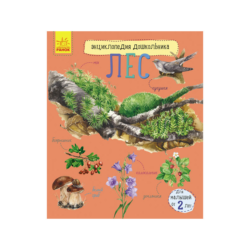 Лес