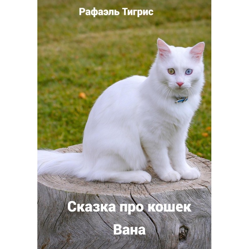 The Tale of Van's Cats