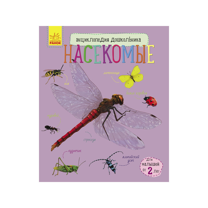 Insects