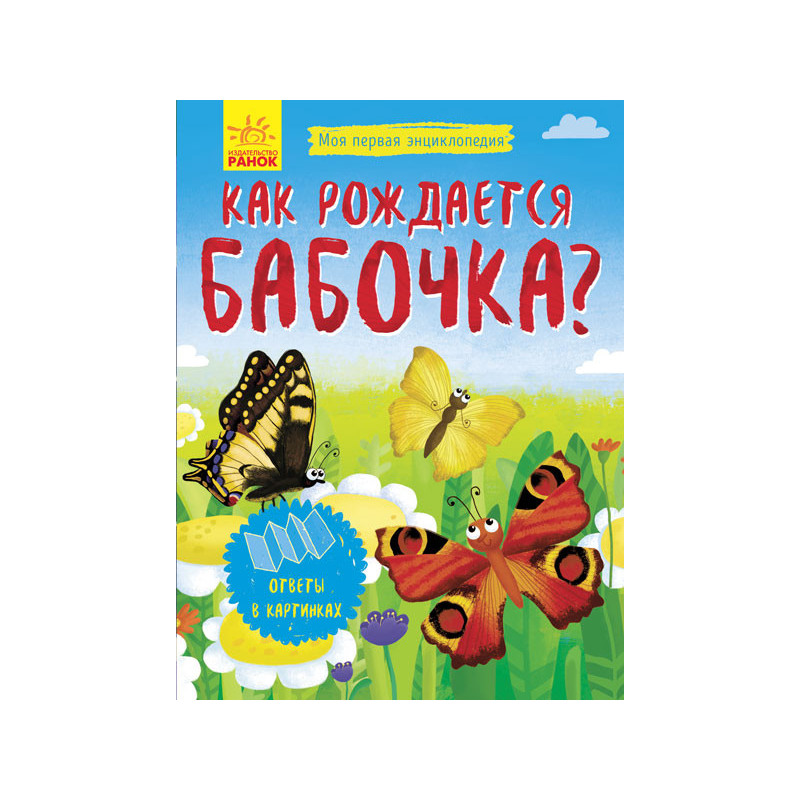 Як народжується метелик?