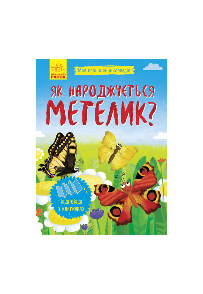 Як народжується метелик?