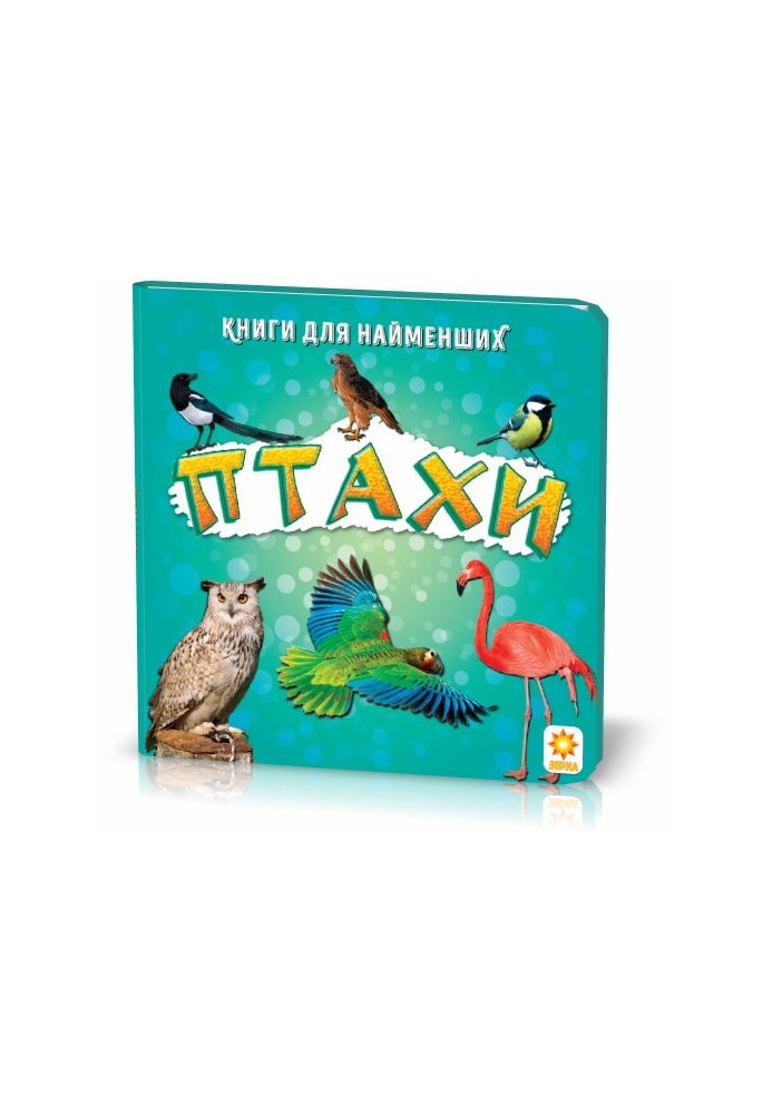 A book for the little ones. Birds