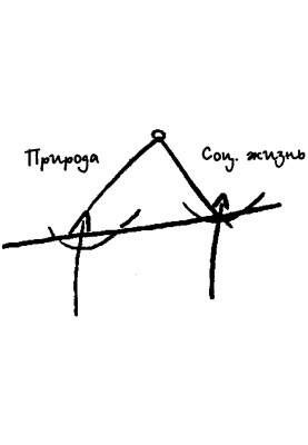 Жас балапандардың письки