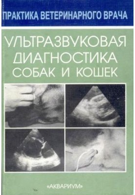 Ultrasound diagnostics of dogs and cats
