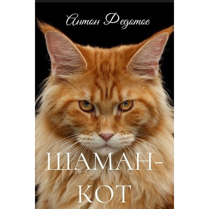 Shaman-Cat