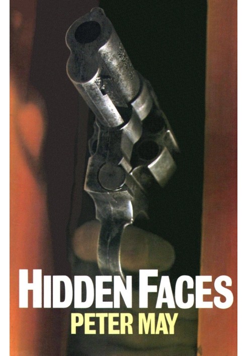 Hidden Faces