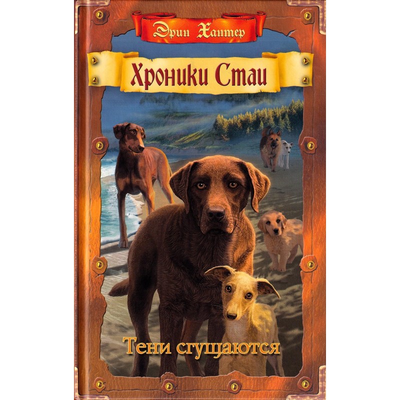 The shadows are deepening