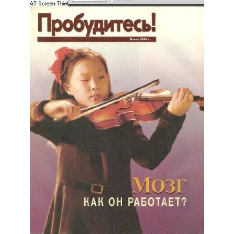 The brain, how it works