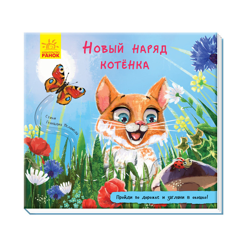 Нове вбрання кошеня