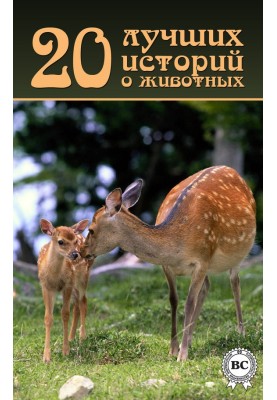 20 лучших историй о животных