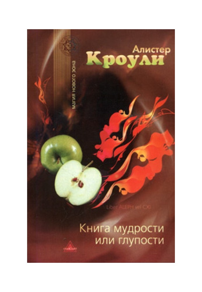 Книга мудрості чи дурості (Книга Алеф)