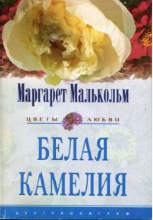 Біла камелія