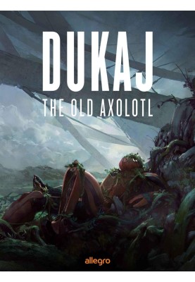 The Old Axolotl