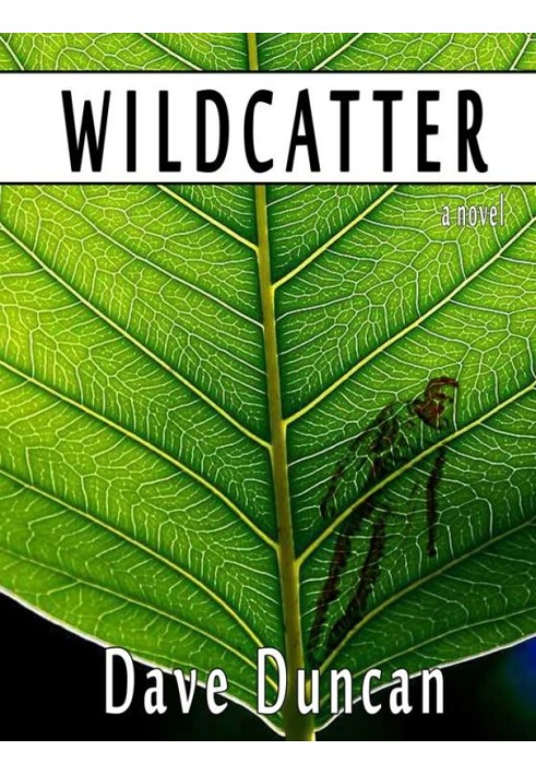 Wildcatter