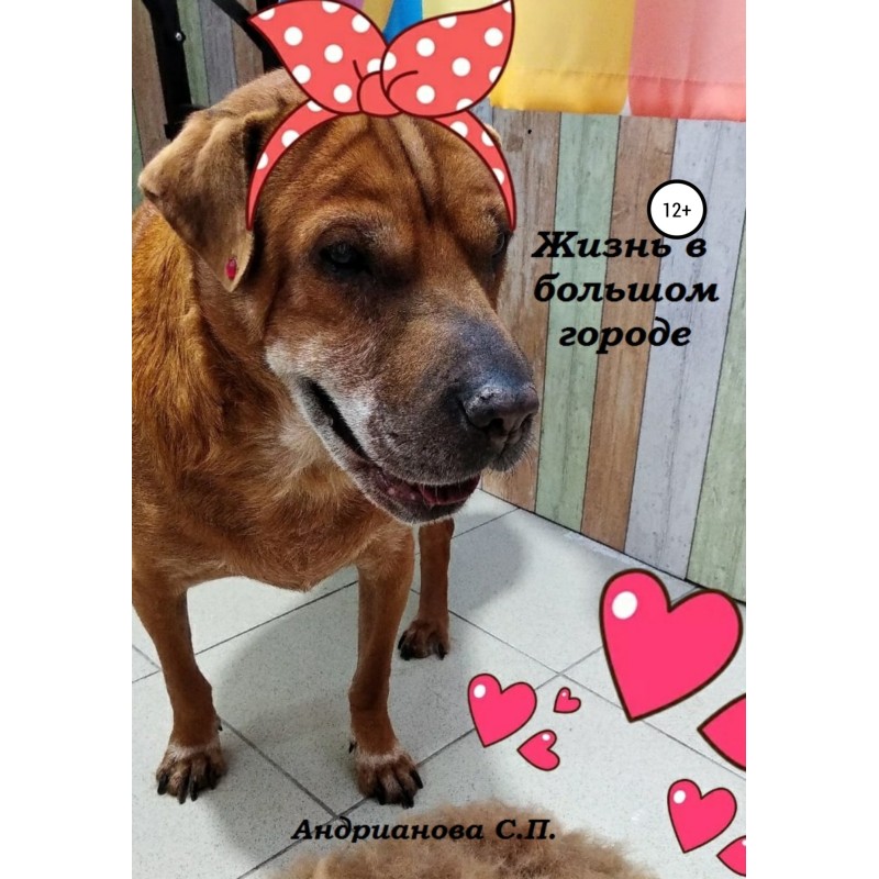 Life in the big city