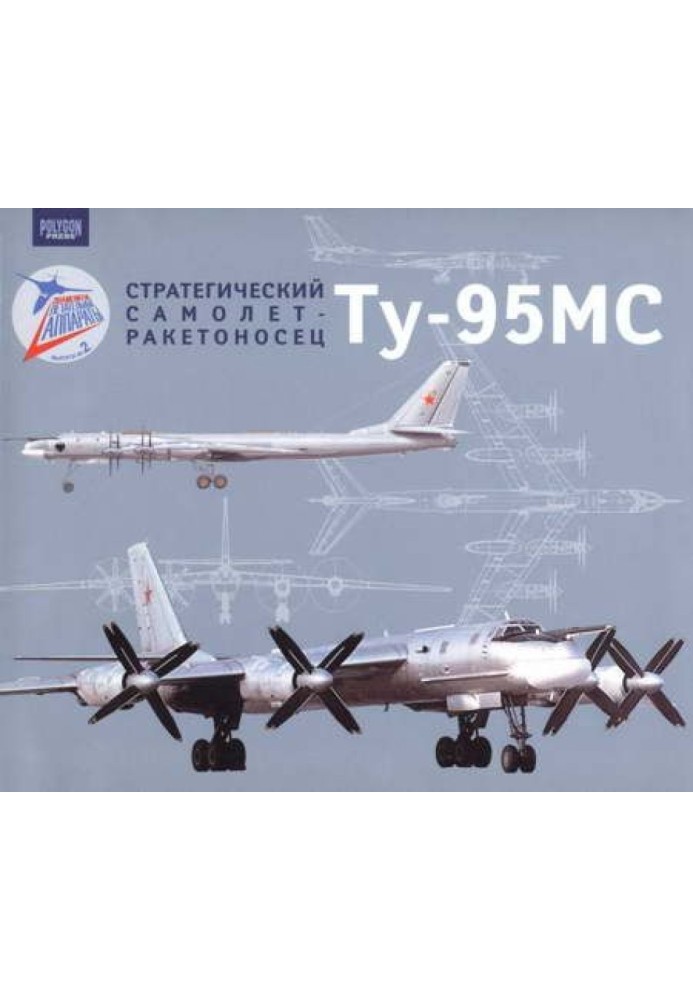 Strategic missile-carrying aircraft Tu-95MS