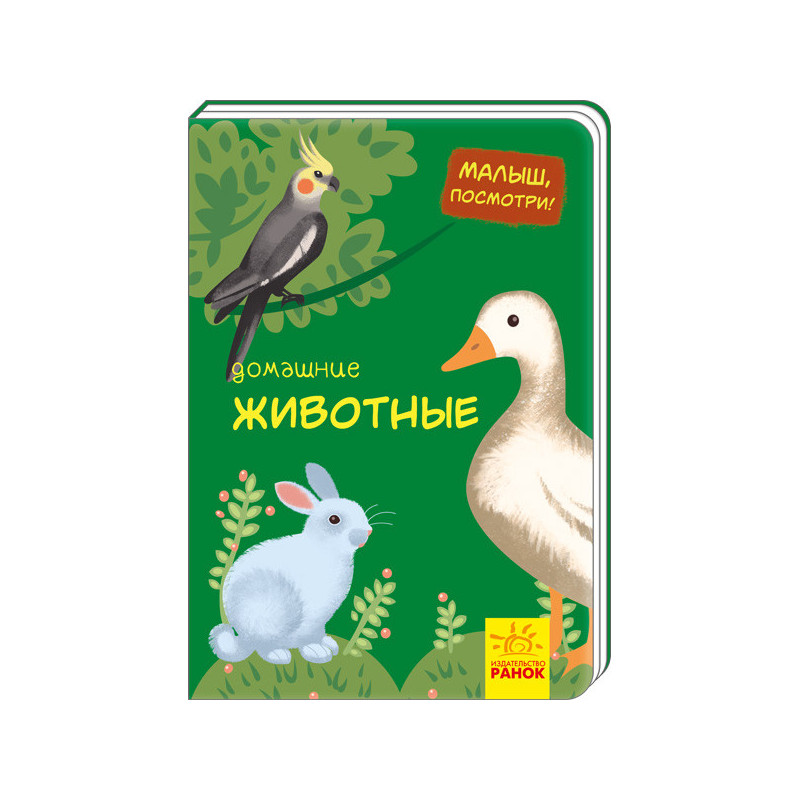 Домашні тварини