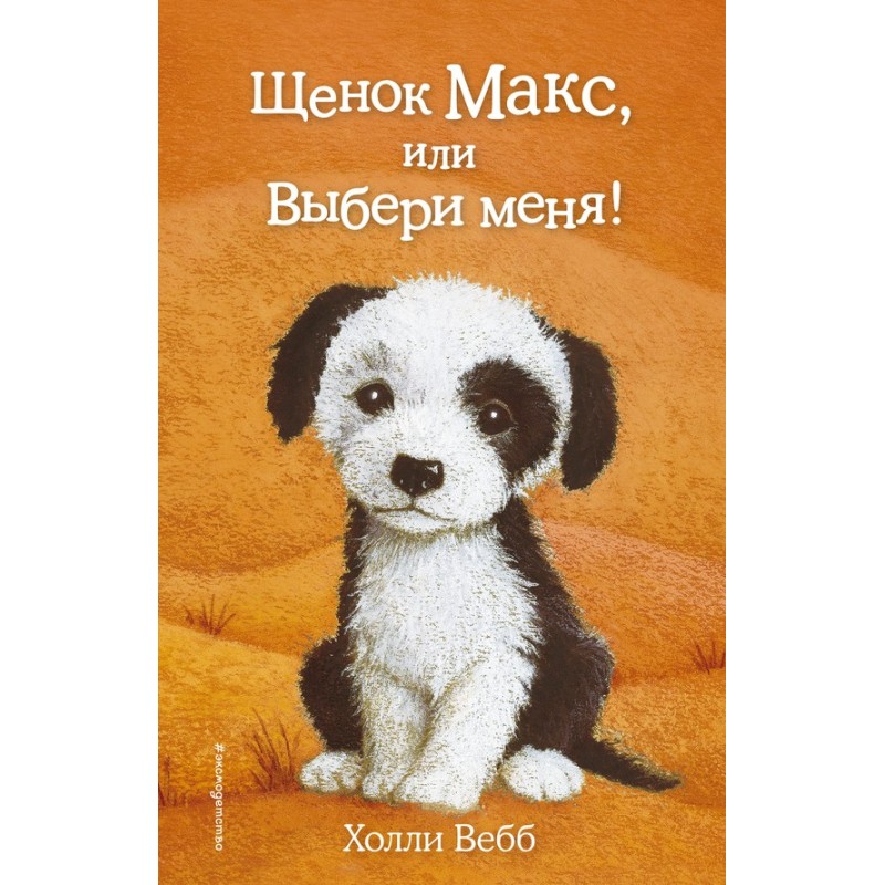 Puppy Max, or Choose Me!