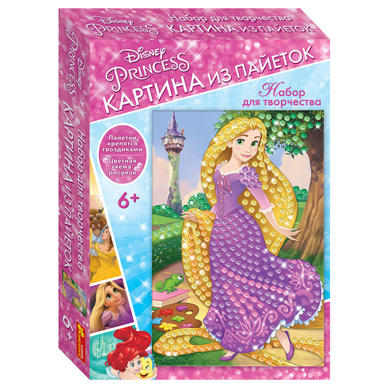 Sequin painting.Princess...