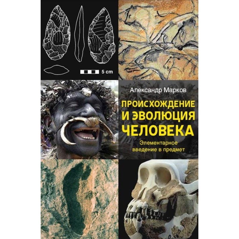 Origin and evolution of man