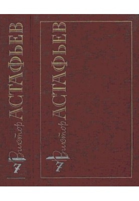 Volume 7