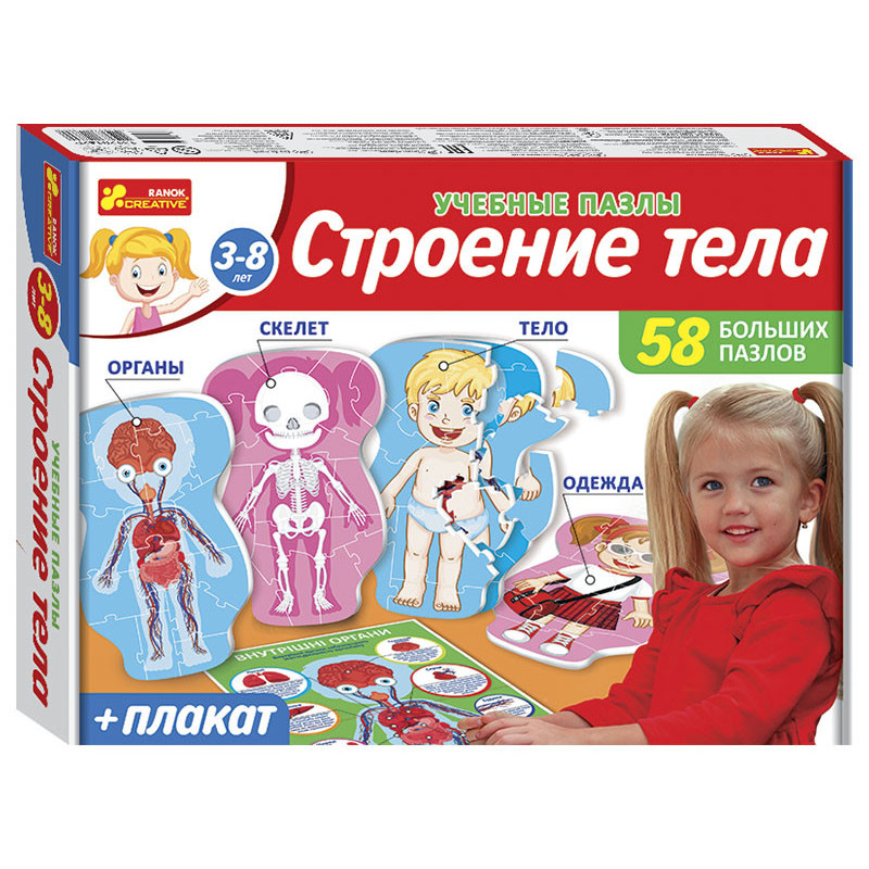 Учебные пазлы.Строение тела