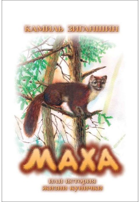 Maha or the life story of a marten