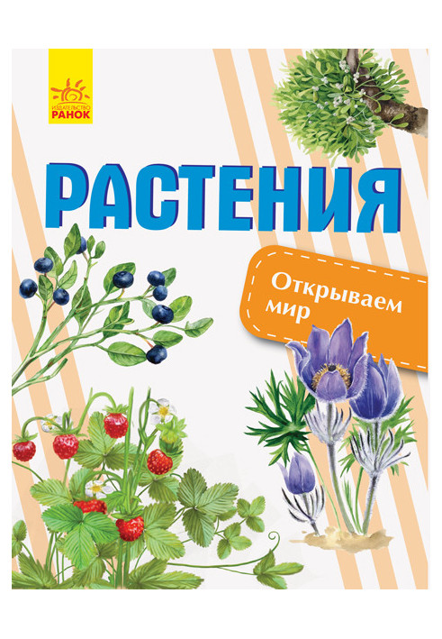 Растения