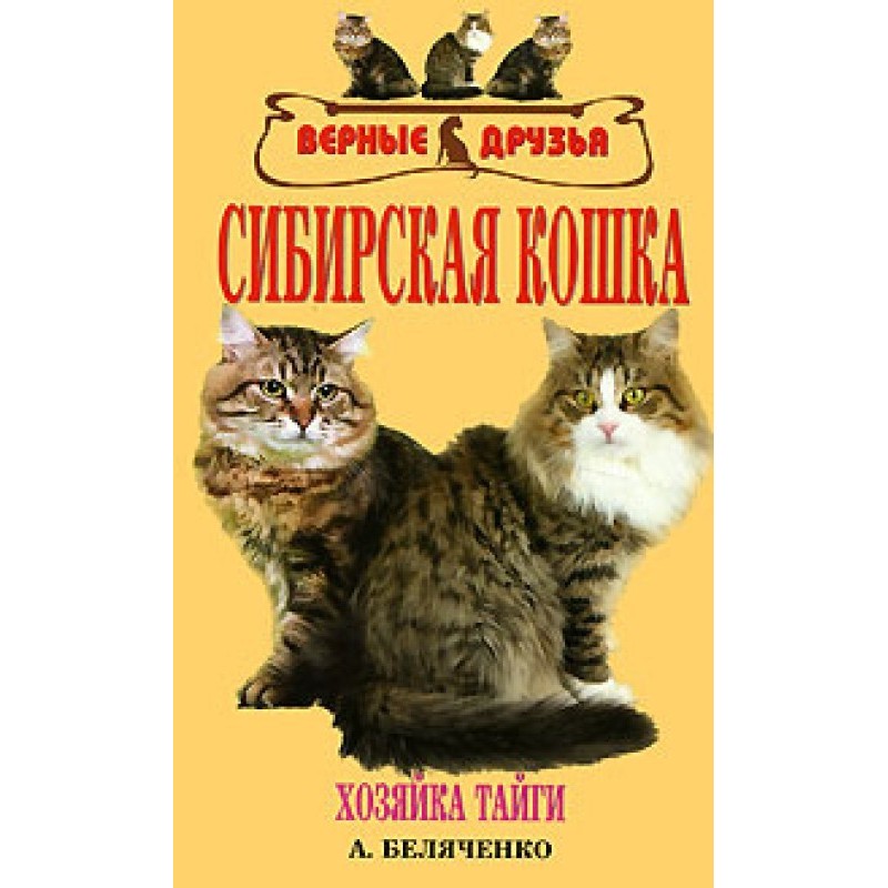 Siberian cat
