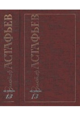 Volume 13