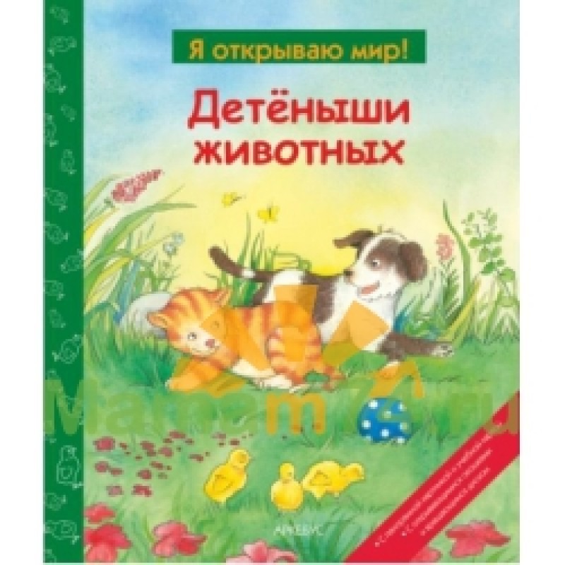 Детеныши животных (Я...