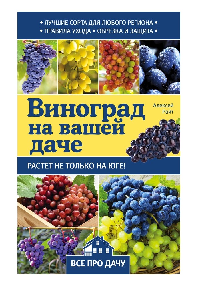 Виноград на вашій дачі. Росте не лише на півдні!