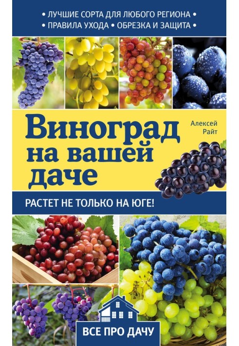 Виноград на вашій дачі. Росте не лише на півдні!