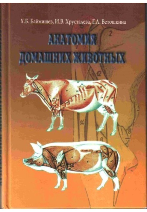 Анатомія свійських тварин (остеологія, синдесмологія, міологія)